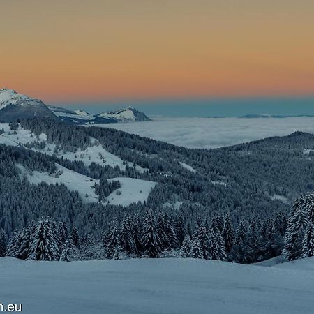 Samoens 1600 Studio Au Pied Des Pistes Eksteriør billede