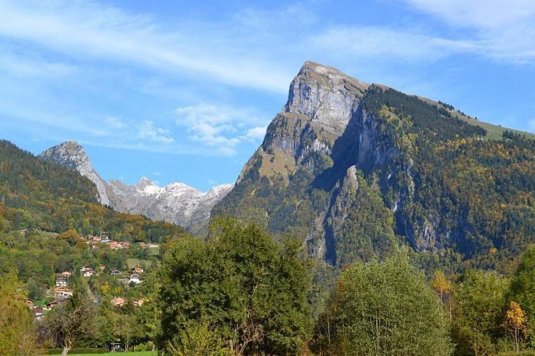 Samoens 1600 Studio Au Pied Des Pistes Eksteriør billede